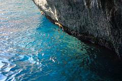 18-Grotta dei coralli,12 maggio 2012
